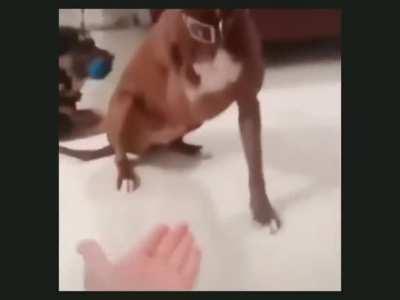 give it to me buddyy