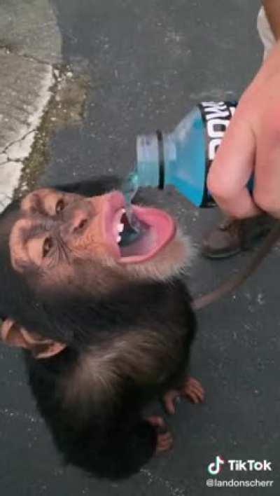 Orson deportista?¿?