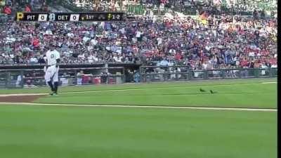 The most exciting thing that ever happened in this hooman sport