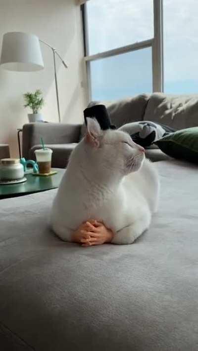 A distinguished gentleman