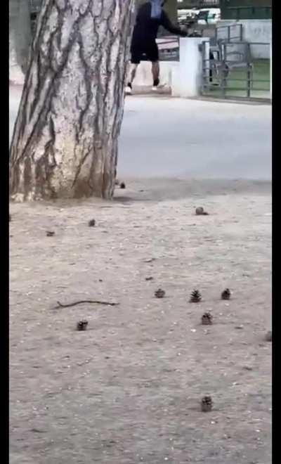 Syrian man in France playground stabs children and 2 adults. - The children are all stable now, one of the adults is in critical condition