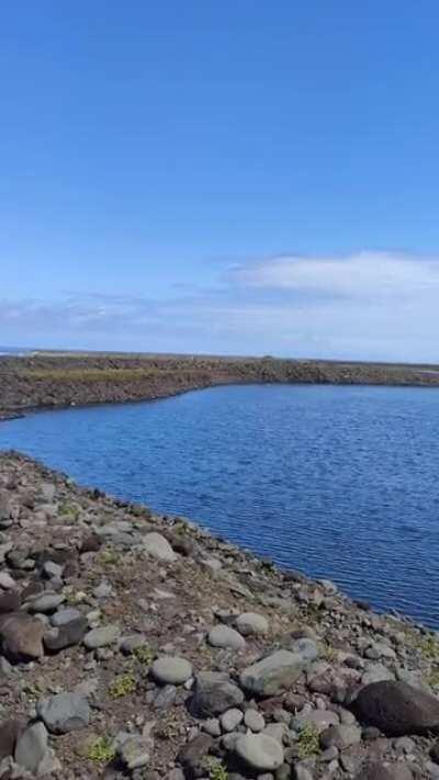 Caldeira de Santo Cristo, São Jorge (03/09/2020) [2160 x 3840]