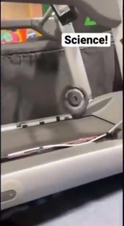 Why Women Walk Longer