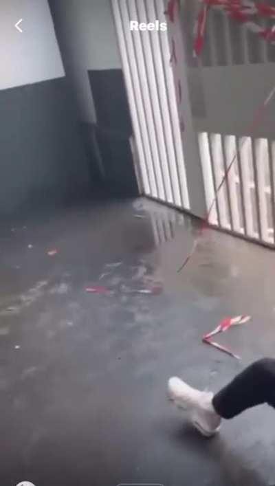 I guess this was an equal fight ..