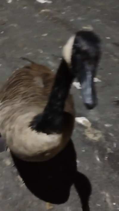 Eunice attacks! I'm not ready for bed yet!