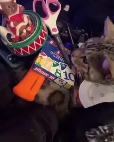 I strive to become this cat