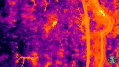 dropping bombs on Russian soldiers