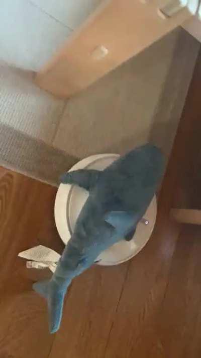 Smolhaj living his best life