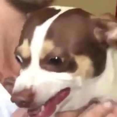 Couldn't help but laugh