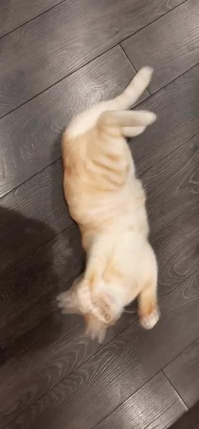 He startled himself...?