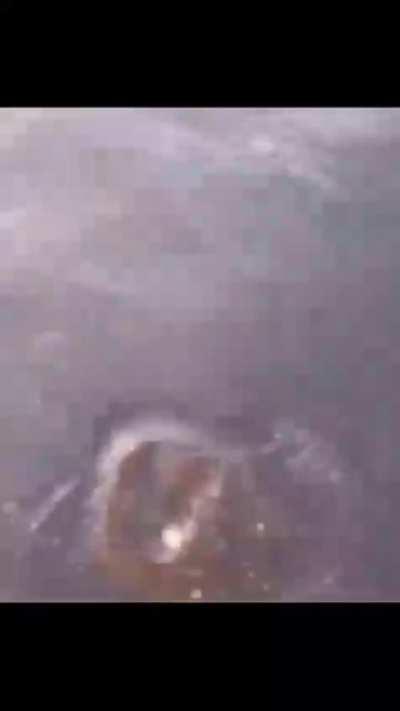 Rest in peace bubbles xD