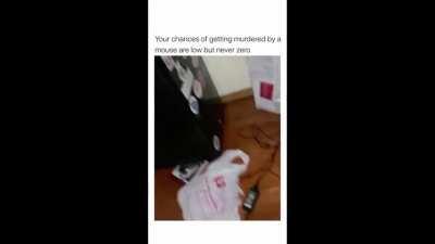 Always cover your back