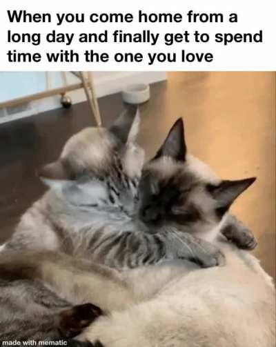 The best feeling in the world