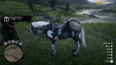 Got a bug where the cam got stuck to my horse so I sent it away to see what happens