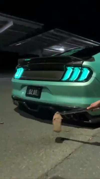 eliza in dahlia's story mode: