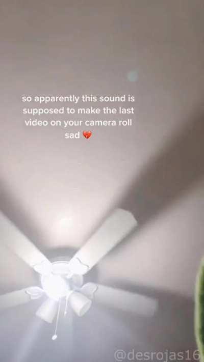 gIrL tHrOwS pEt FrOg To ItS dEaTh