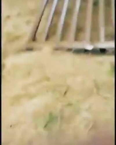 Border wall no match for narcos