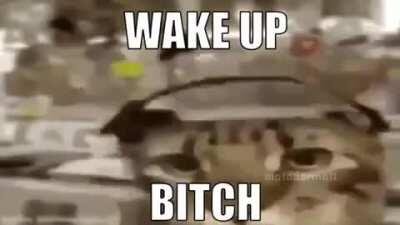 Wake up bitch