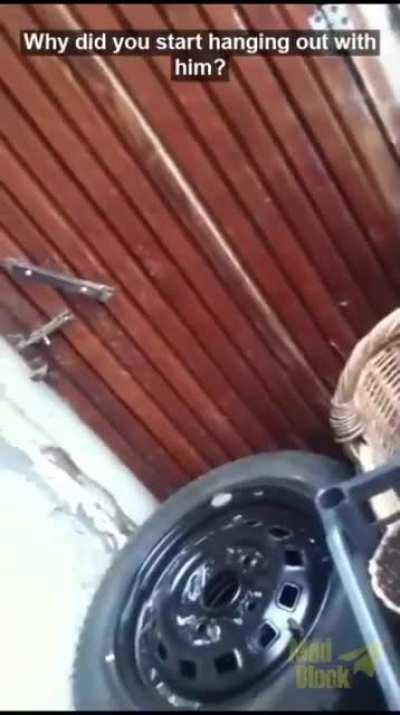 dude wants to smoke 😂