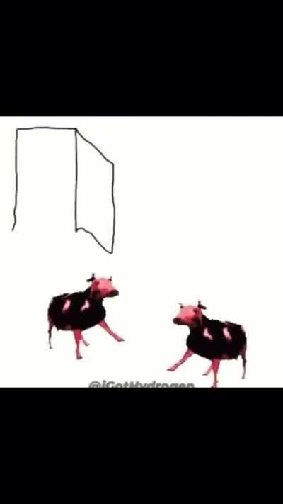 Are ya winning son? Son...?