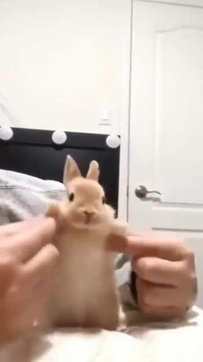 Cuando le pongan la letal a Vlasko 🥰🥰🗿