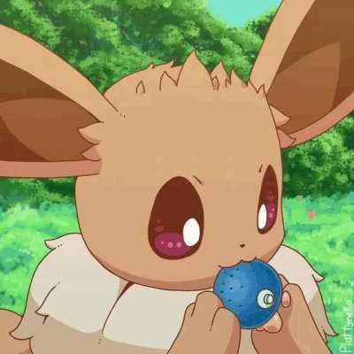 Eevee found an Oran Berry and decided to nom on it
