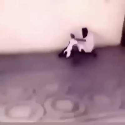 bosnian spotted drifting