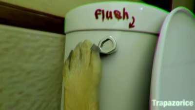 Le internet trend has arrived