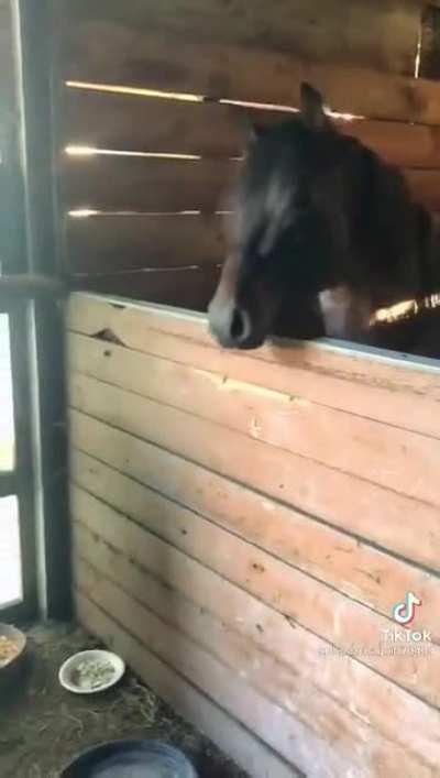 He was just horsing around