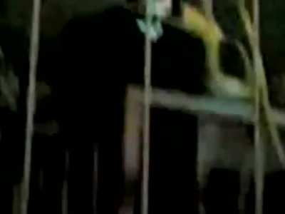 watch saddam hussein gets executed