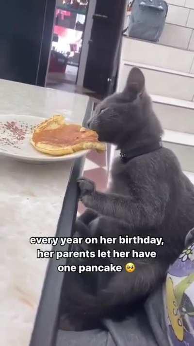 Kitty gets a birthday pancake