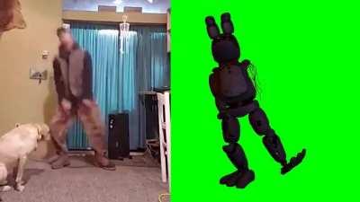 Withered Bonnie shmovin