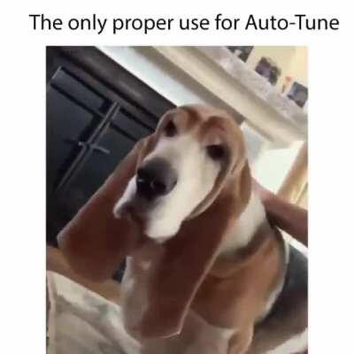 T-pain would be proud