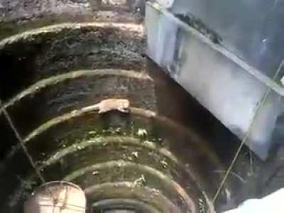 Да пошли вы со своей корзинкой