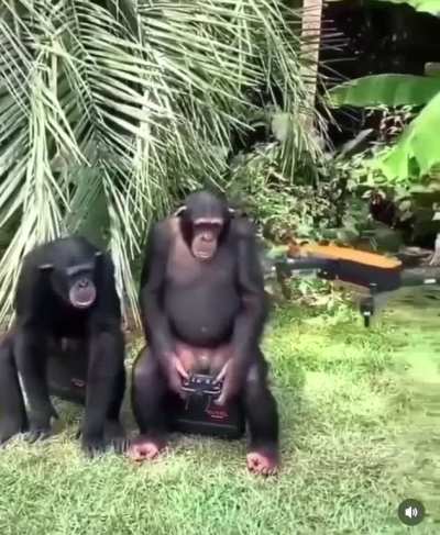 They now know how to fly drones! The longer we wait the less survival chance we get. Be prepared