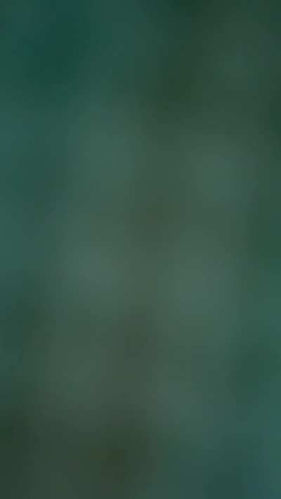 If you were my slave, would you let me stuff you down my pants to sniff out all my farts? 💨