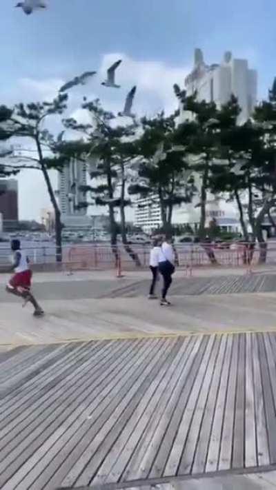 Man running from Seagulfs wanting his food