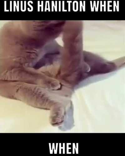 Omg lois 😳 hotilton 🥵