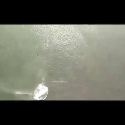 The second jumper, DoV?