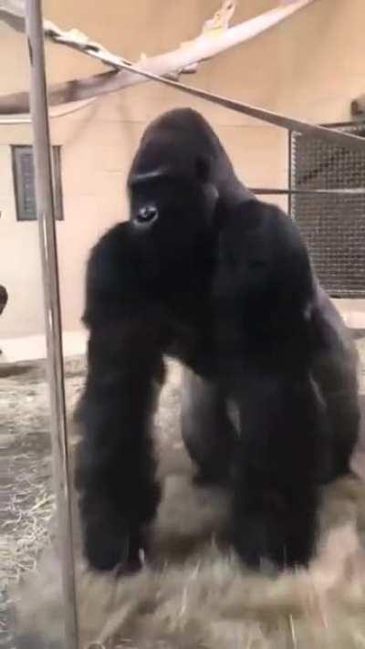 Tom when Christina finally agrees to eat his scrum.