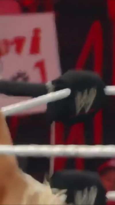 Maryse Raw 2010 Battle Royal