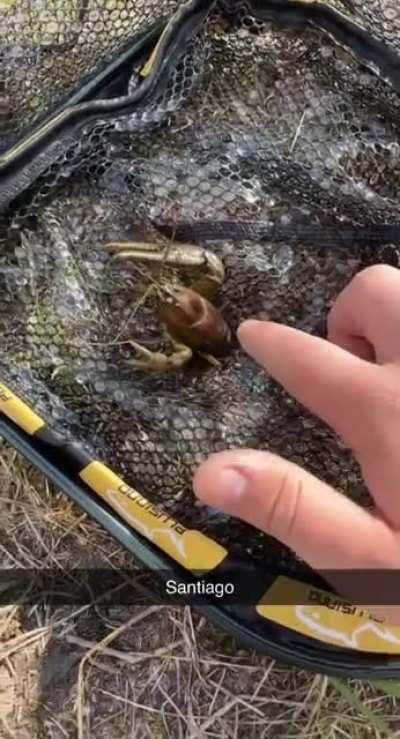 Went EDC hunting today...