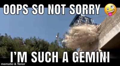Gemini moment