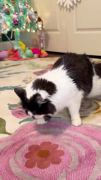 Advent calendar 1, day 20 💚❤️