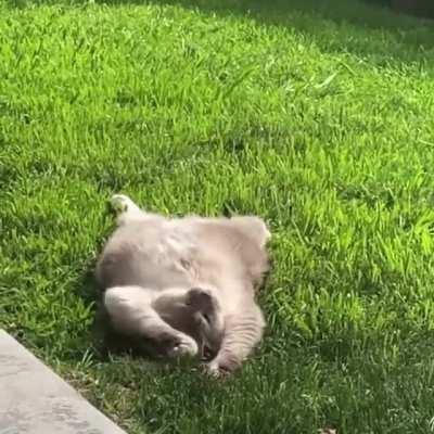 How I&rsquo;m tryna be this summer