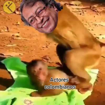 Artistas del engaño 