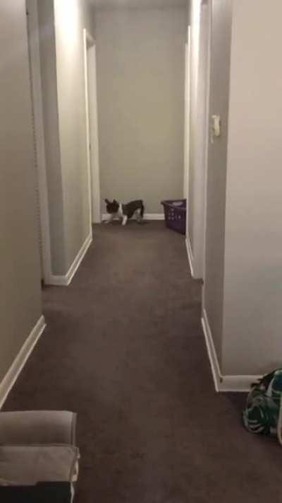 And she still wanted the ball