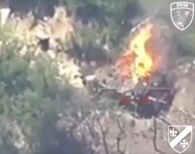 Drone footage of a Ukrainian FPV strike on a Russian 2S19 