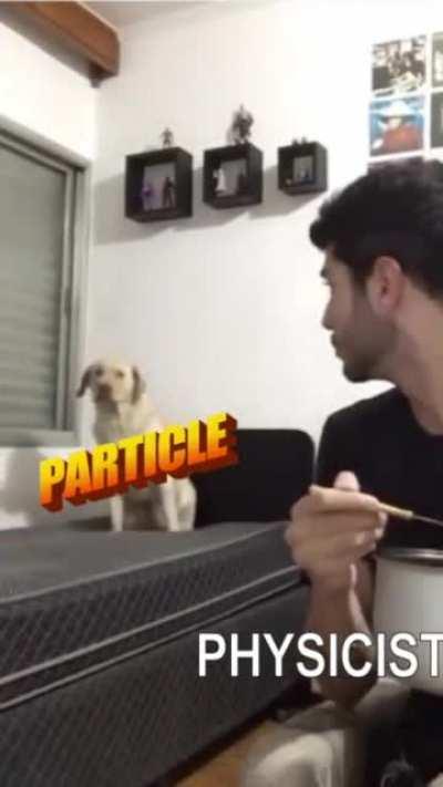 PewDiePie talked about multiverse stuff in his recent video and I found this meme on his Reddit