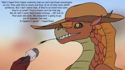 I continue to interview the common dragon in pyrrhia. this time they talk about the recent policy changes regarding the scavengers.